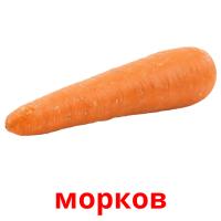 морков picture flashcards
