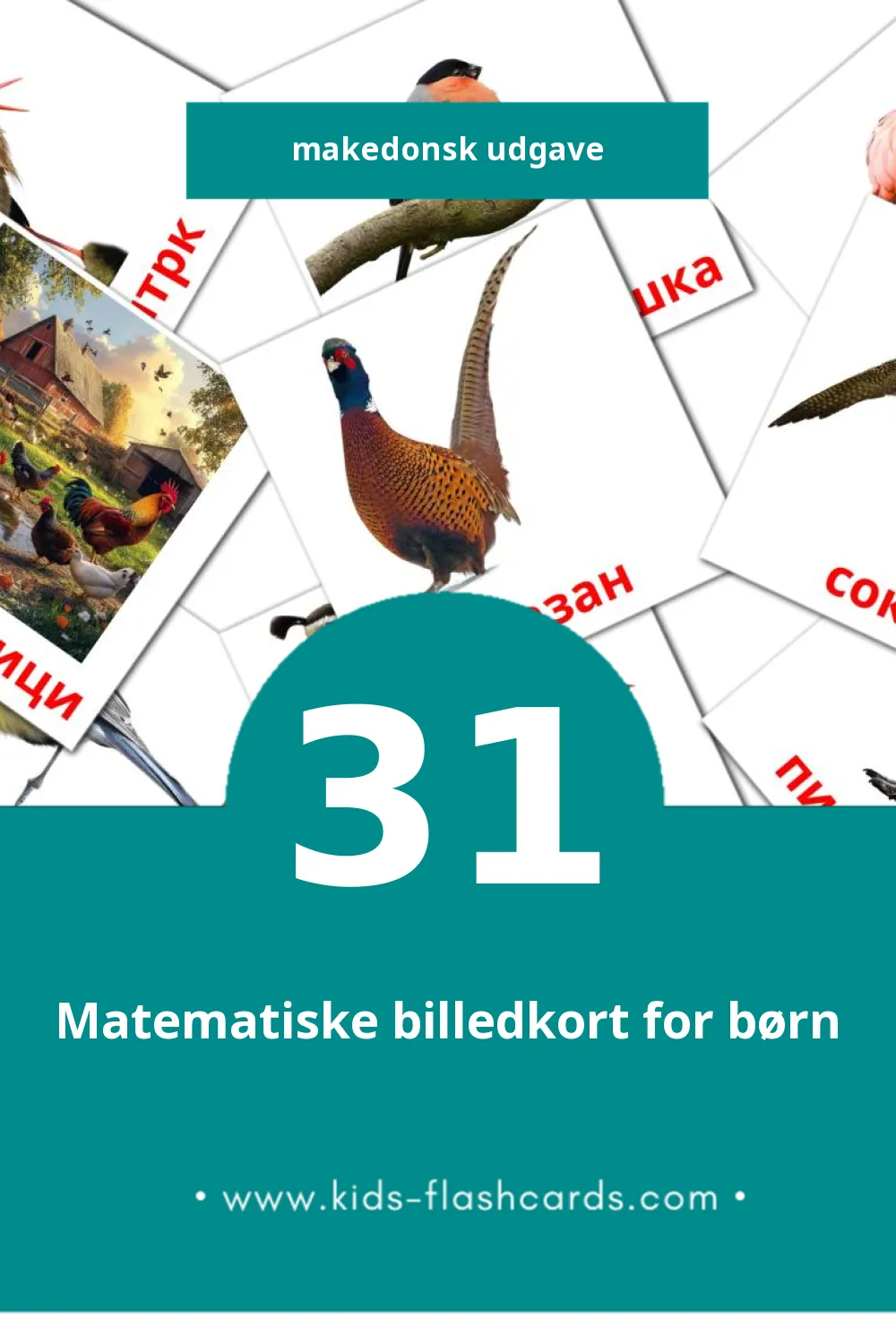 Птици  lasten kuvakortit pikkulapsille (31 korttia Makedonianksi)