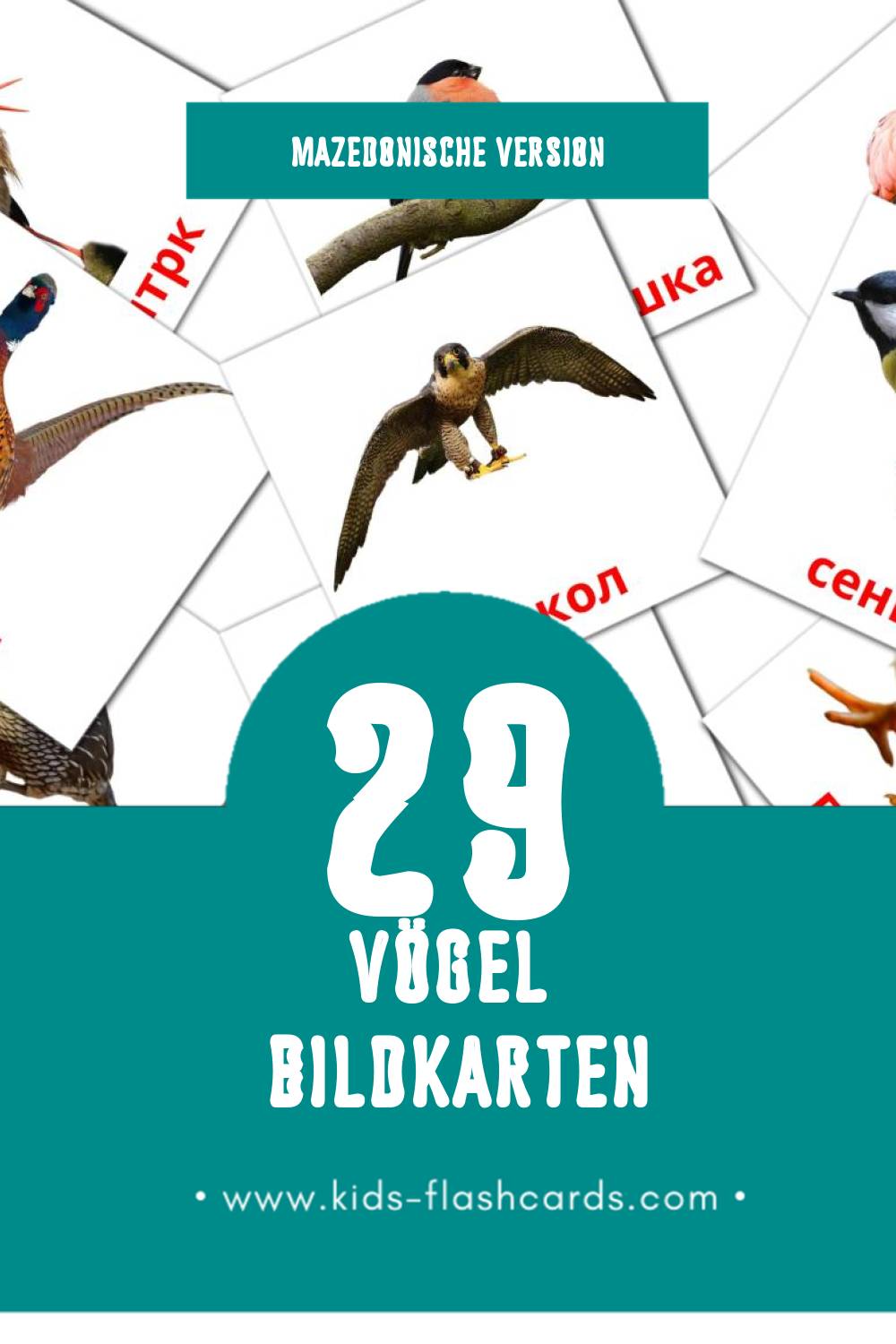 Visual Птици  Flashcards für Kleinkinder (29 Karten in Mazedonisch)