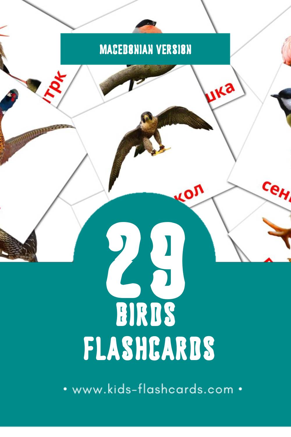 Visual Птици  Flashcards for Toddlers (29 cards in Macedonian)