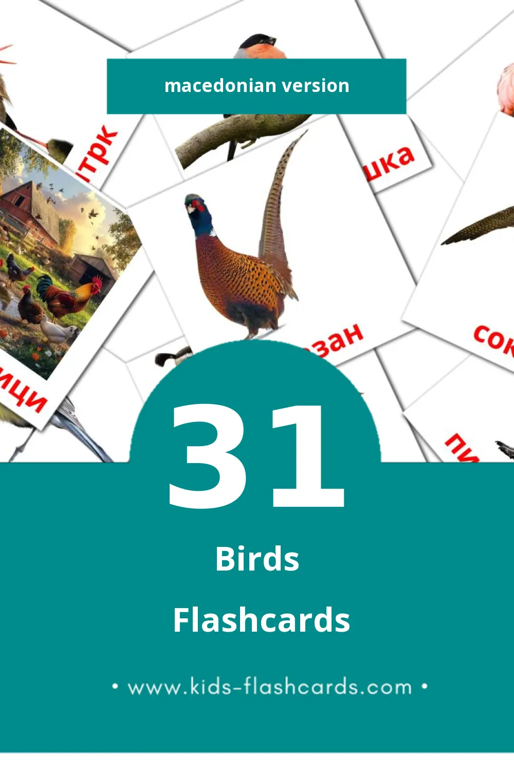 Visual Птици  Flashcards for Toddlers (31 cards in Macedonian)