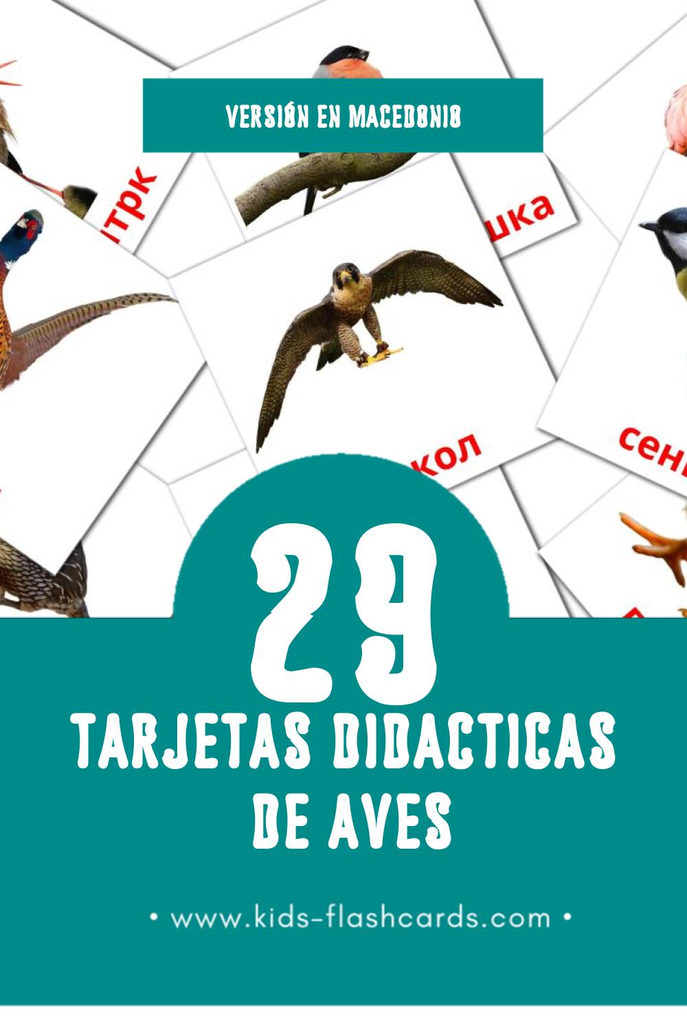 Tarjetas visuales de Птици  para niños pequeños (29 tarjetas en Macedonio)