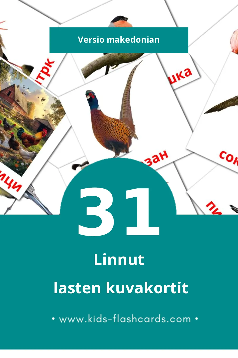 Птици  lasten kuvakortit pikkulapsille (31 korttia Makedonianksi)