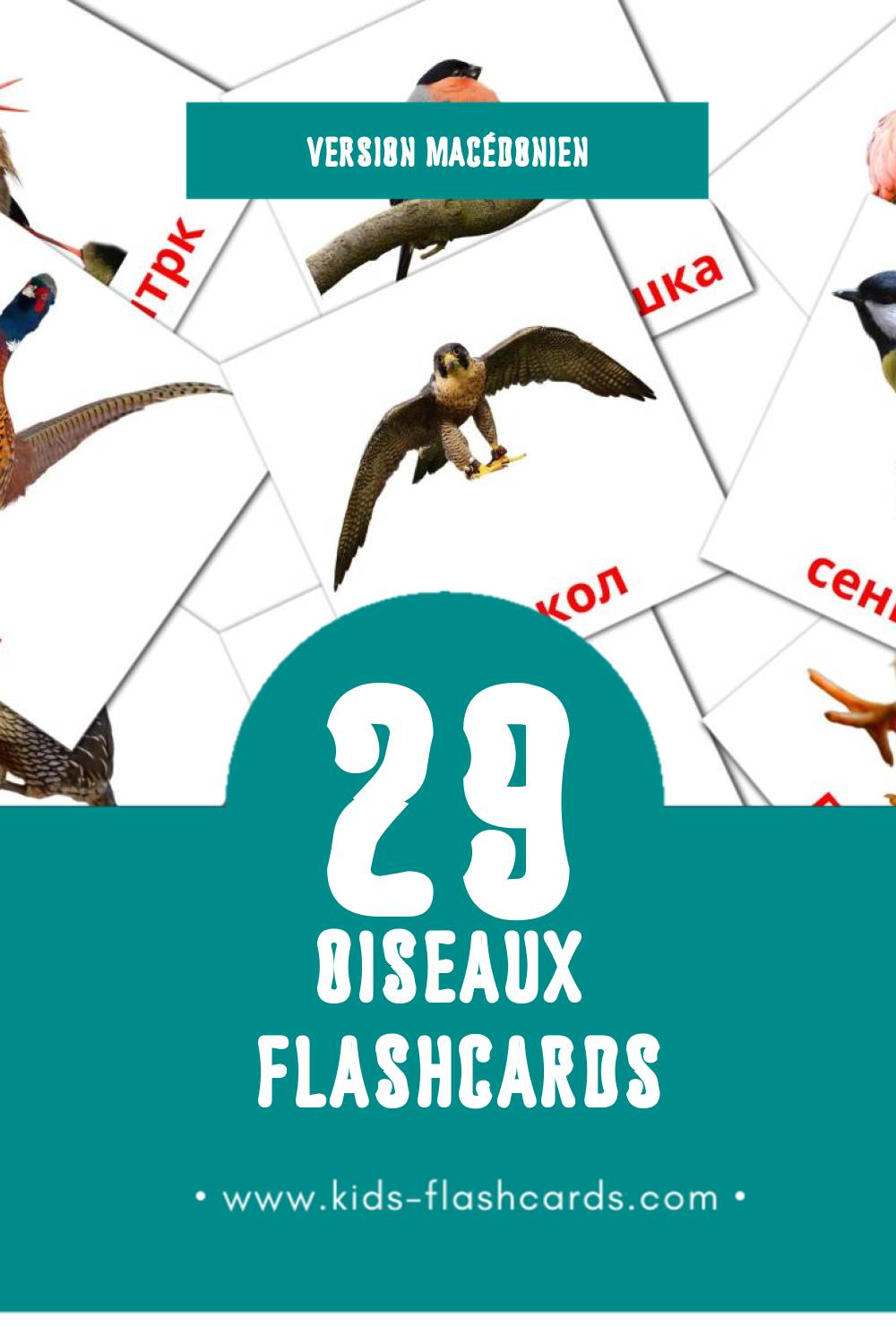 Flashcards Visual Птици  pour les tout-petits (29 cartes en Macédonien)