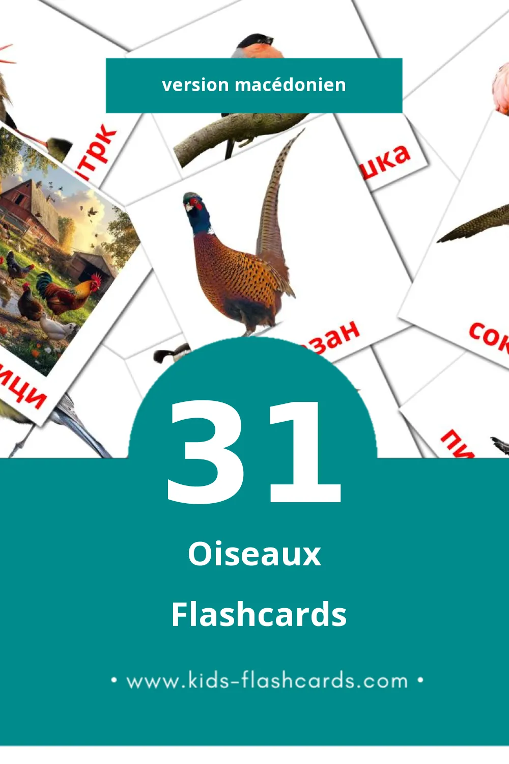 Flashcards Visual Птици  pour les tout-petits (31 cartes en Macédonien)