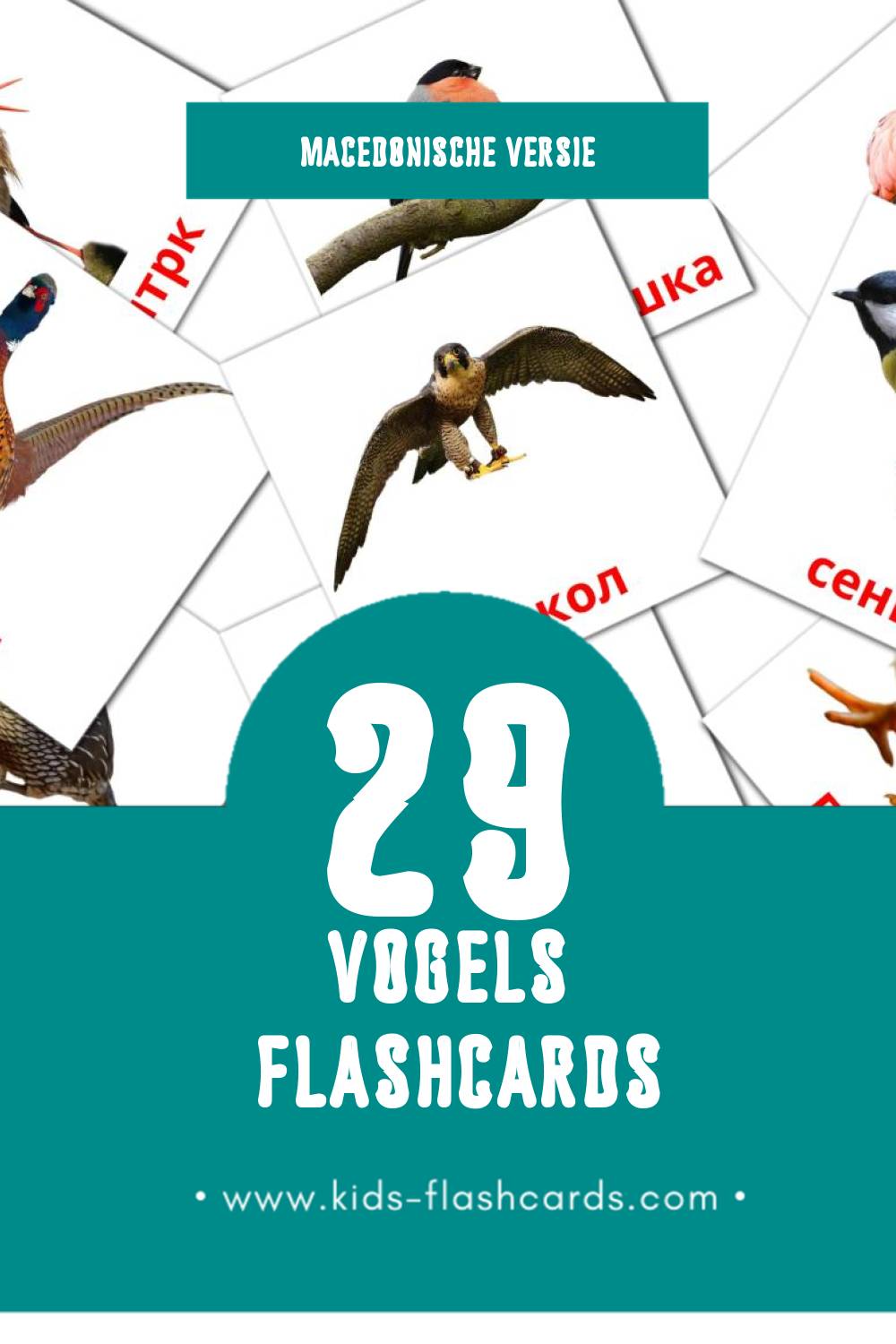 Visuele Птици  Flashcards voor Kleuters (29 kaarten in het Macedonisch)