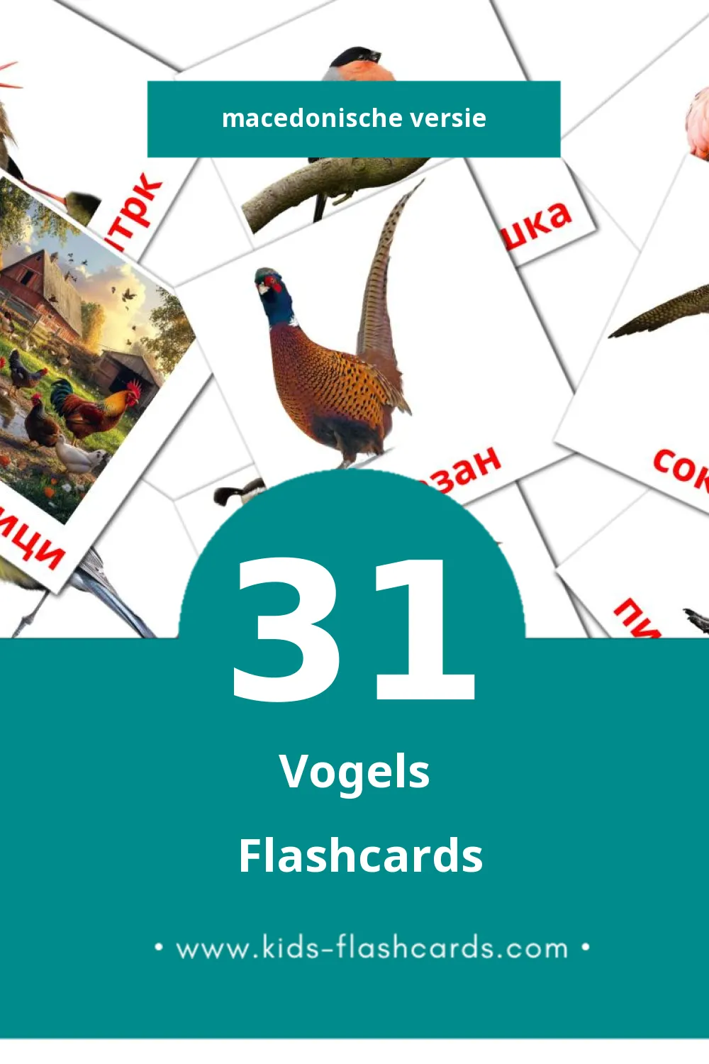 Visuele Птици  Flashcards voor Kleuters (31 kaarten in het Macedonisch)