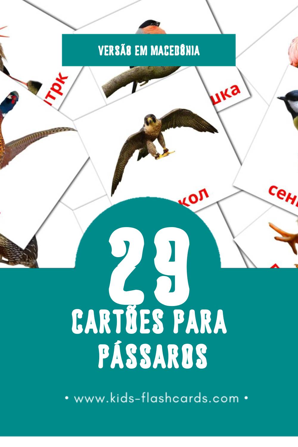 Flashcards de Птици  Visuais para Toddlers (29 cartões em Macedônia)