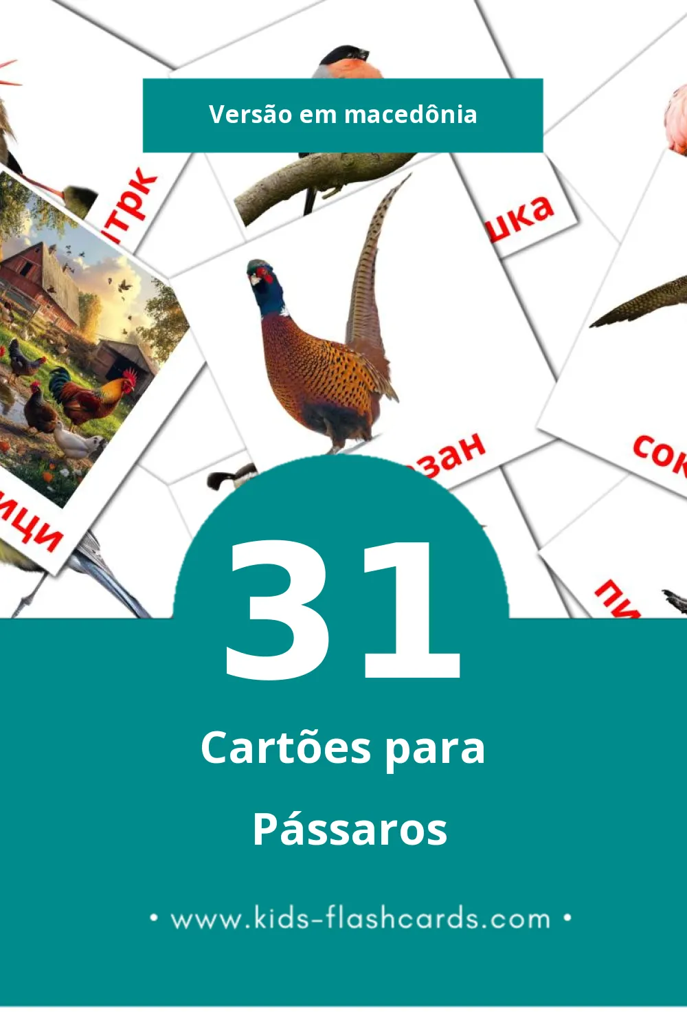 Flashcards de Птици  Visuais para Toddlers (31 cartões em Macedônia)