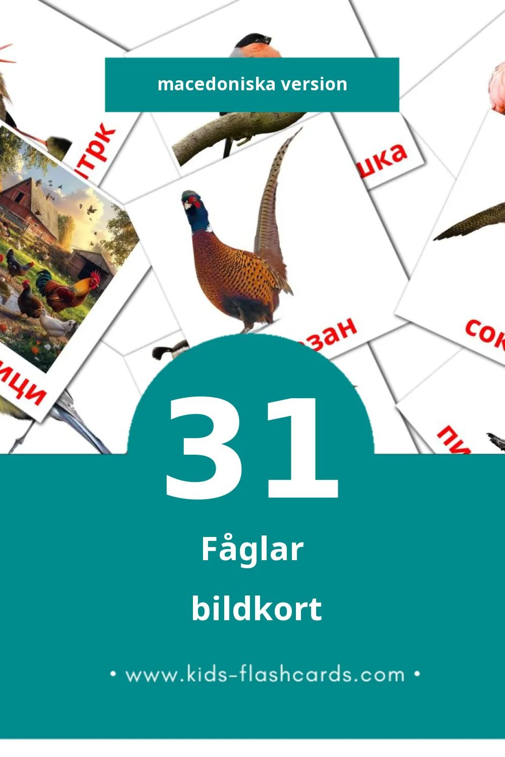 Visuella Птици  för småbarn (31 bildkort för barn på Macedoniska)