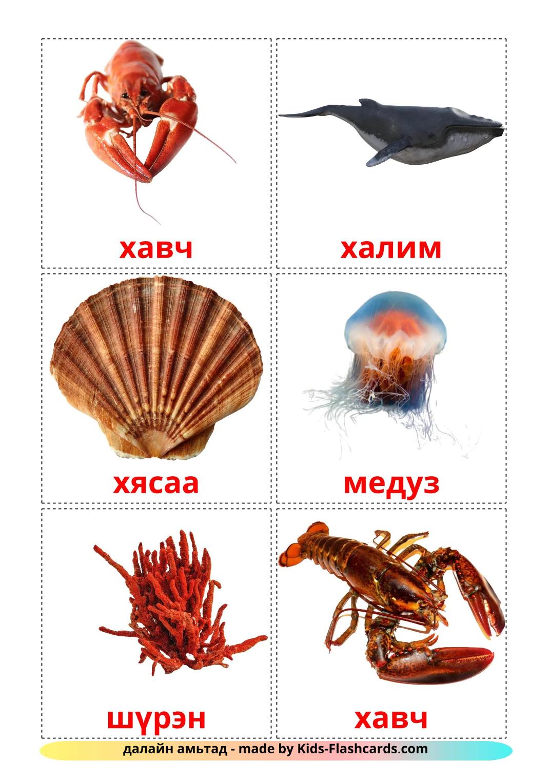 Sea animals - 30 Free Printable mongolian Flashcards 