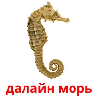 далайн морь picture flashcards