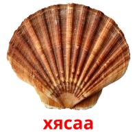 хясаа picture flashcards