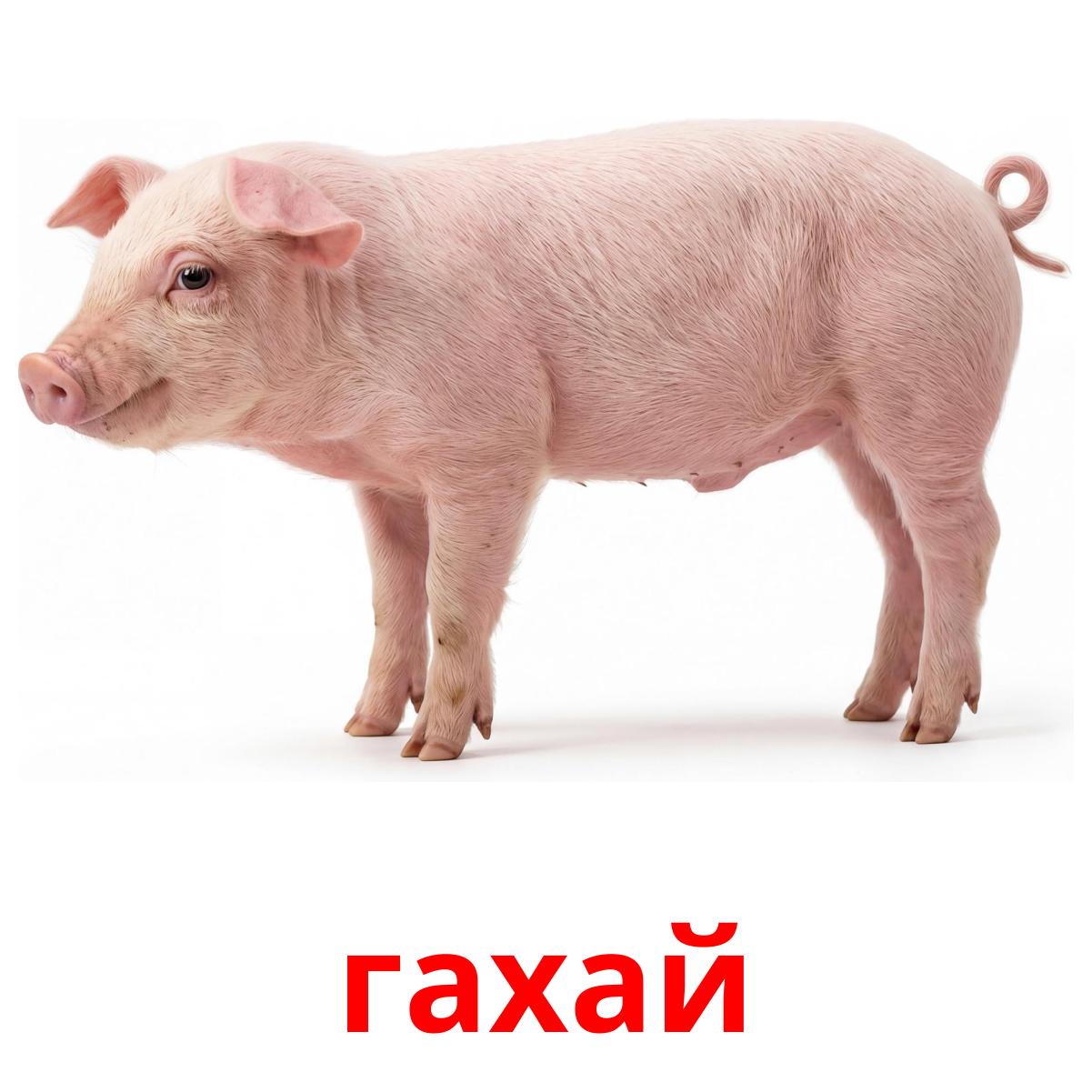 Bilingual Forms.pdf 16 Printable Farm animals Flashcards in Mongolian (Free PDF)