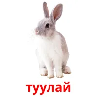 туулай flashcards illustrate