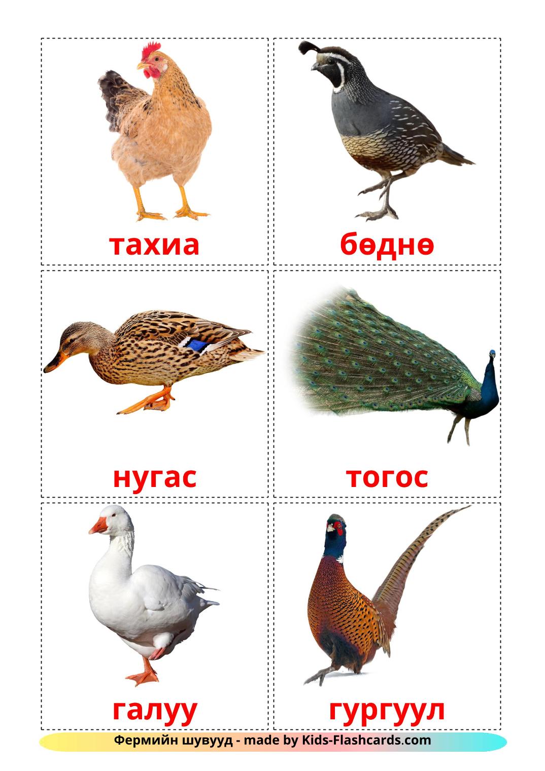 Les Oiseaux de Ferme - 11 Flashcards mongol imprimables gratuitement