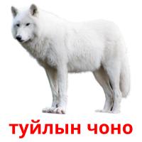 туйлын чоно card for translate