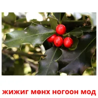 жижиг мөнх ногоон мод kuvakortit