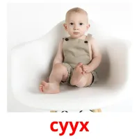 суух picture flashcards