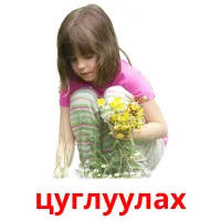 цуглуулах picture flashcards