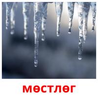 мөстлөг picture flashcards