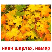 навч шарлах, намар picture flashcards
