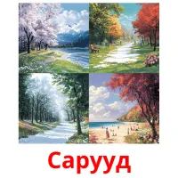 Сарууд flashcards illustrate