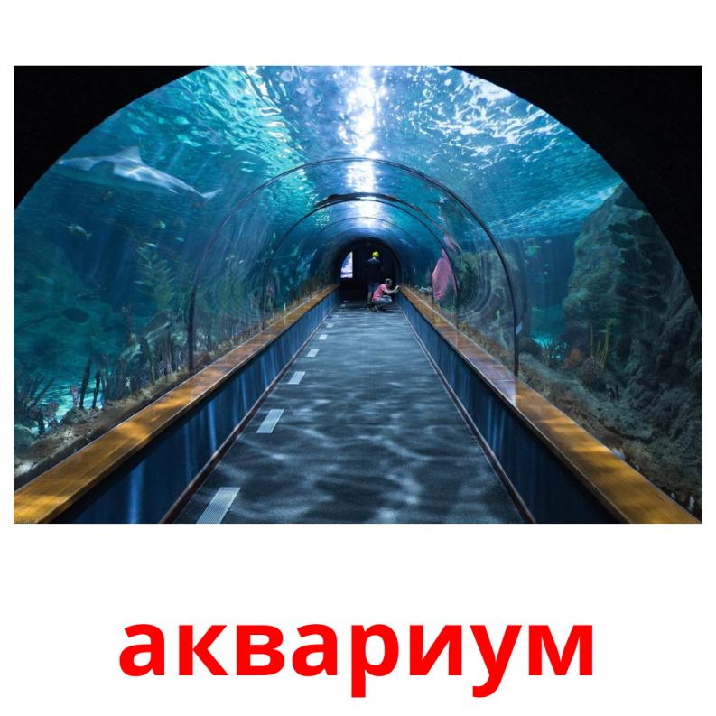 аквариум Bildkarteikarten