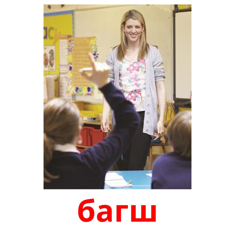багш picture flashcards