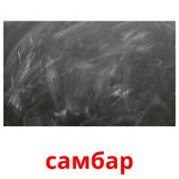 самбар picture flashcards