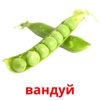 вандуй card for translate