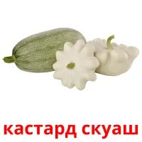 кастард скуаш picture flashcards