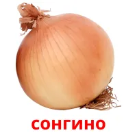 сонгино picture flashcards