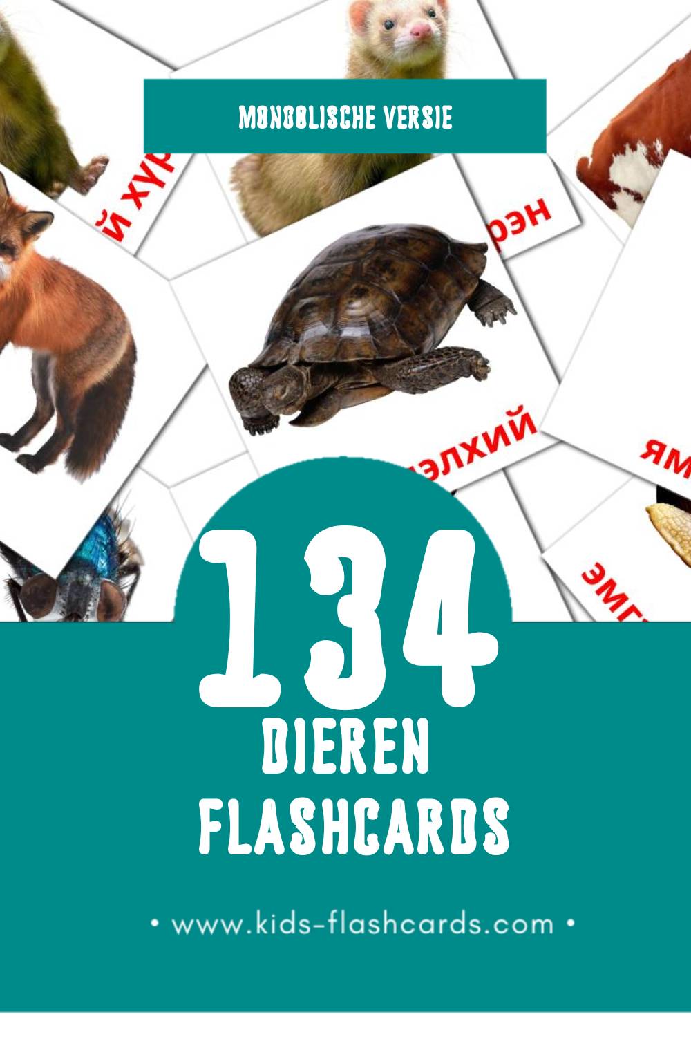 Visuele Амьтад Flashcards voor Kleuters (134 kaarten in het Mongolisch)