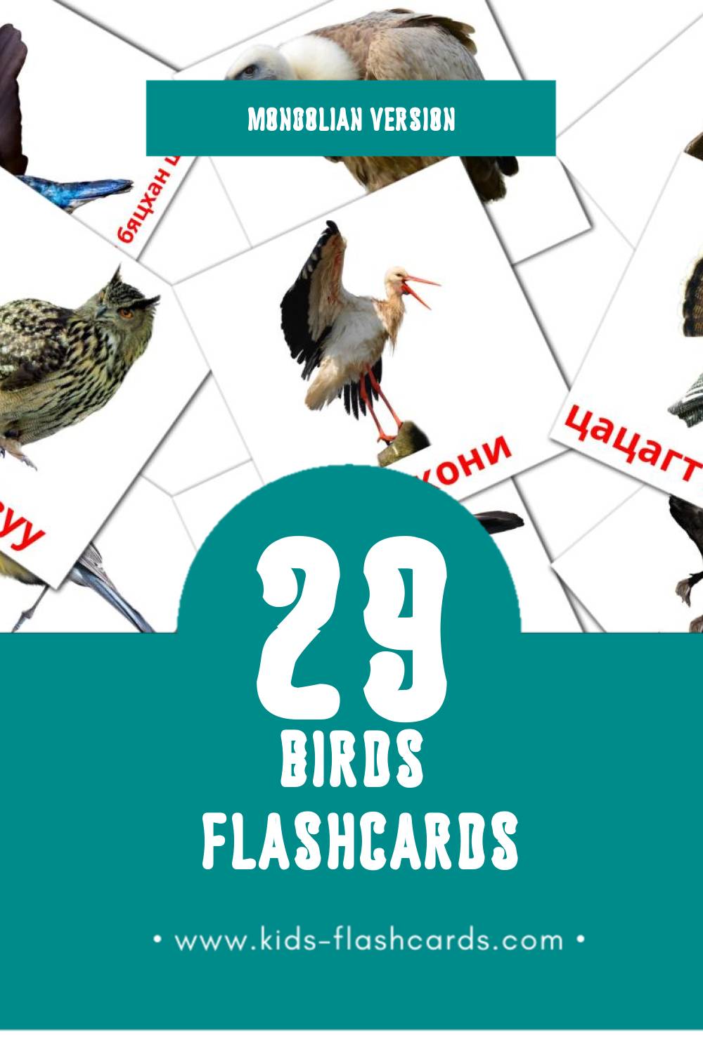 Visual Шувууд Flashcards for Toddlers (29 cards in Mongolian)