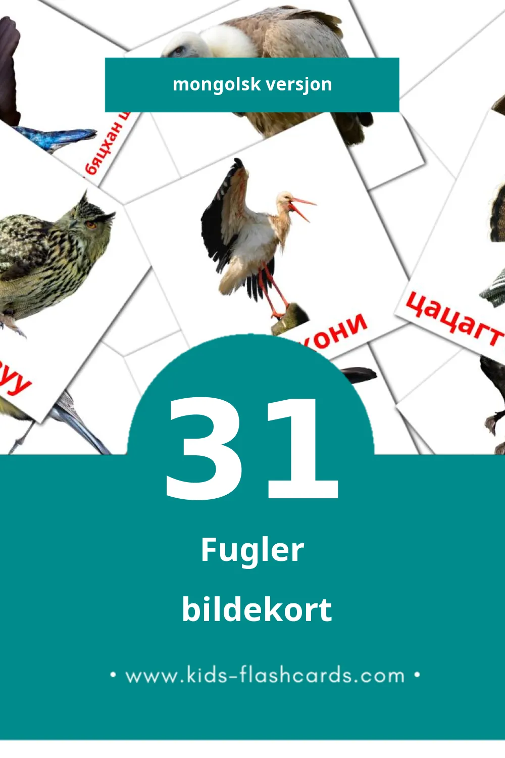 Visuelle Шувууд bildekort for småbarn (31 kort på Mongolsk)