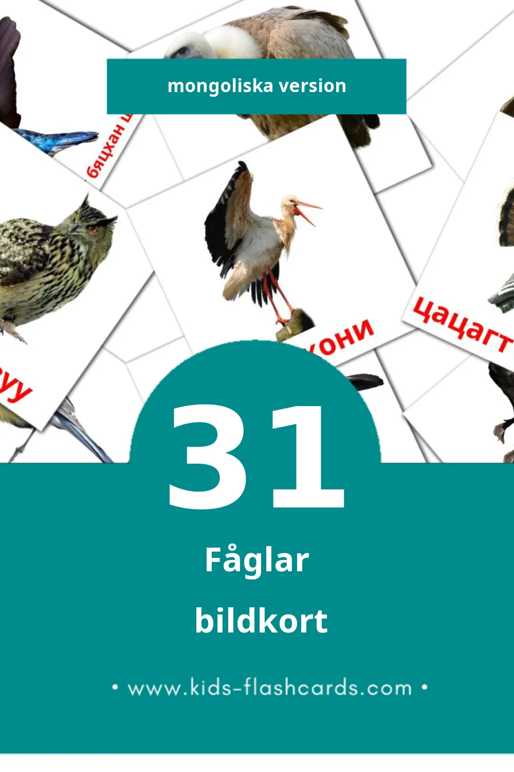 Visuella Шувууд för småbarn (31 bildkort för barn på Mongoliska)