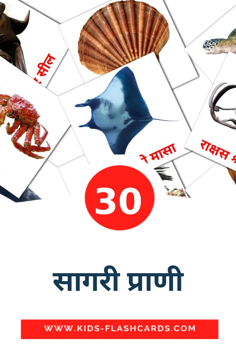 सागरी प्राणी на маратхи для Детского Сада (30 карточек)