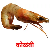 कोळंबी карточки энциклопедических знаний