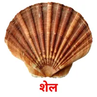 शेल карточки энциклопедических знаний