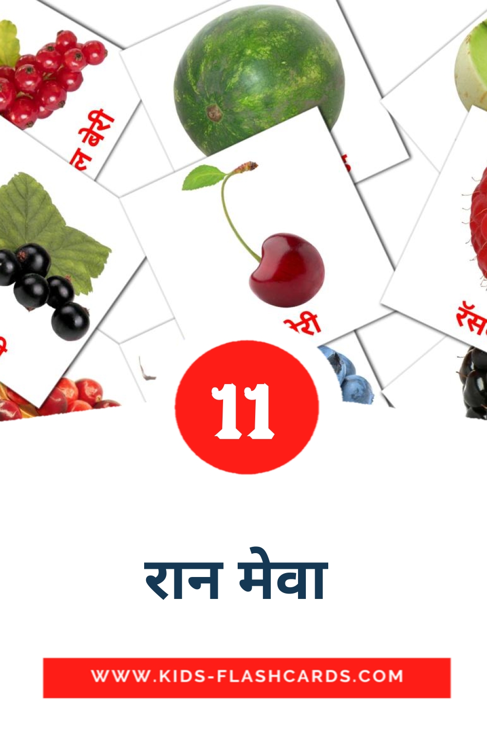 11 carte illustrate di रान मेवा  per la scuola materna in marathi