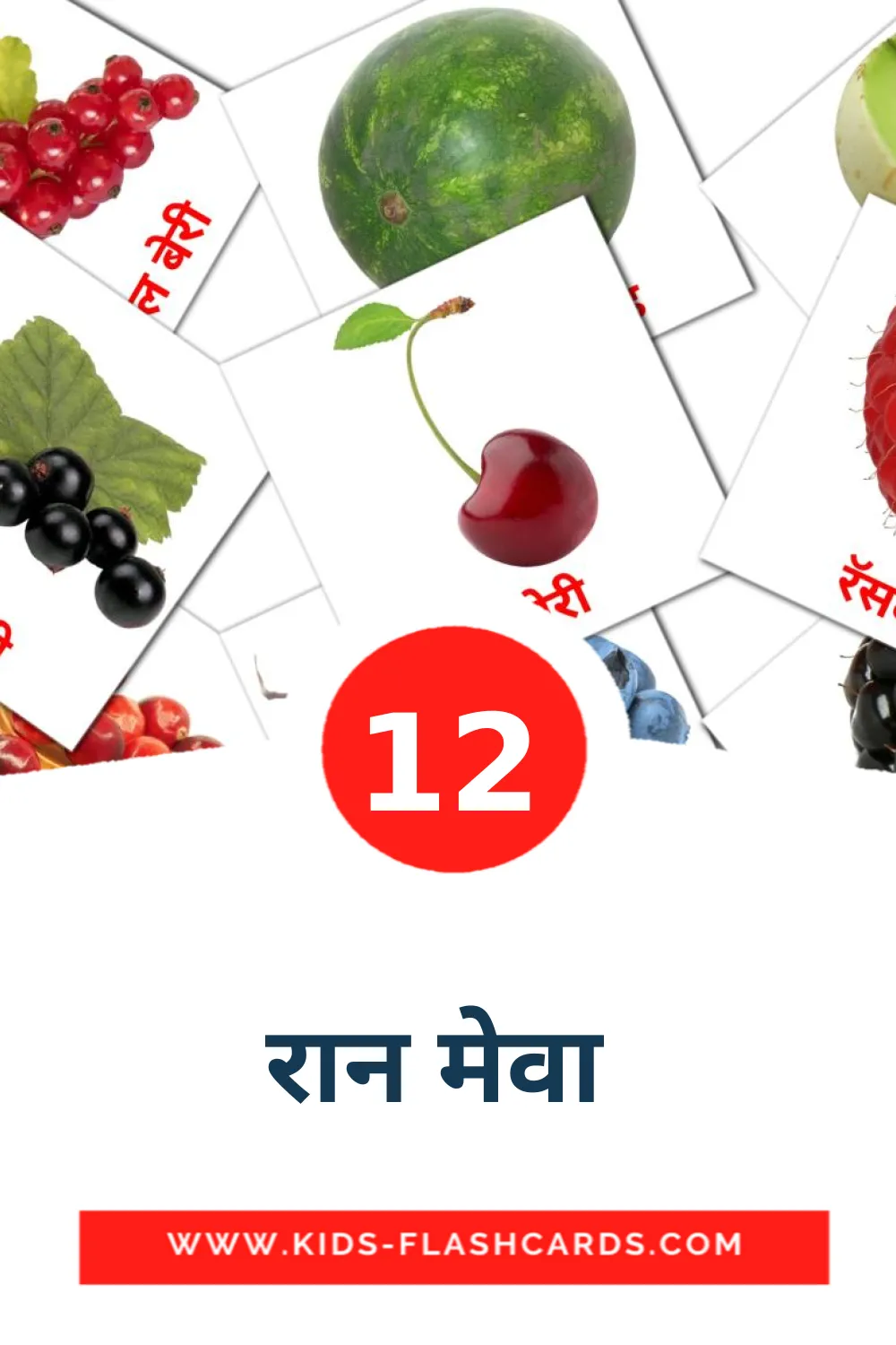 12 रान मेवा  Picture Cards for Kindergarden in marathi