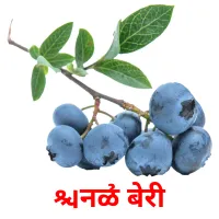 निळी बेरी picture flashcards