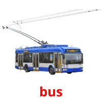 bus cartões com imagens