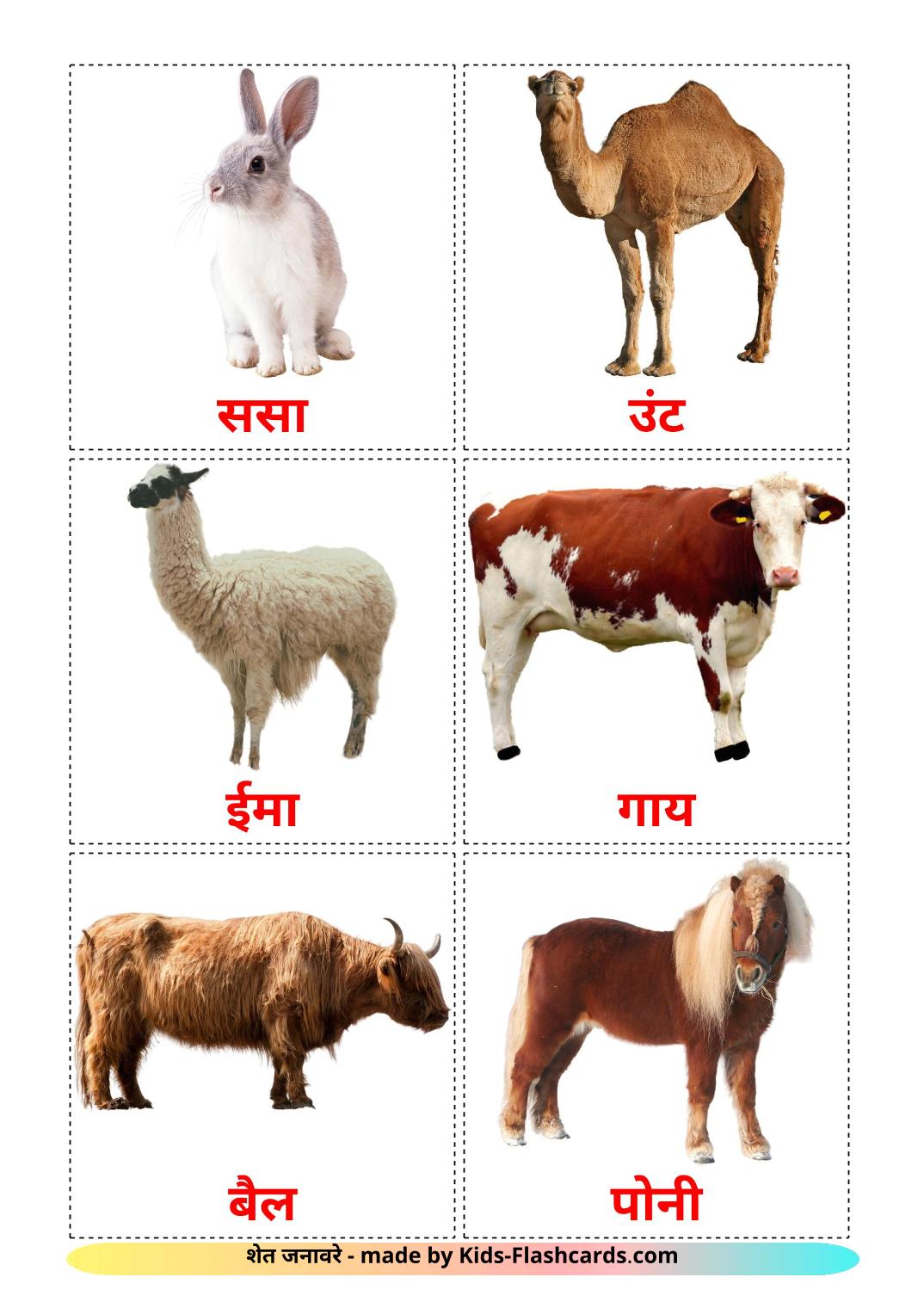 Farm animals - 15 Free Printable marathi Flashcards 