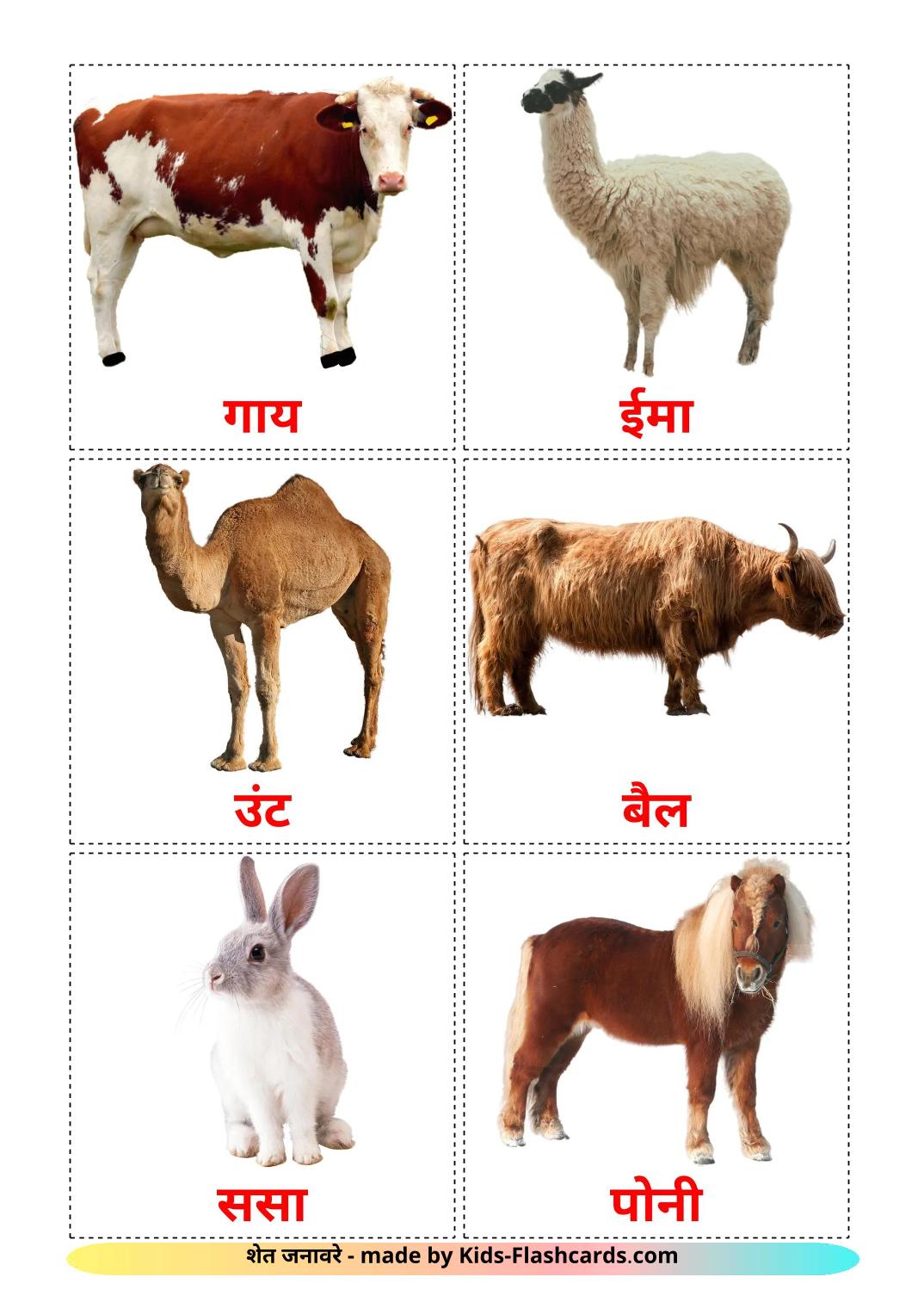 Farm animals - 16 Free Printable marathi Flashcards 