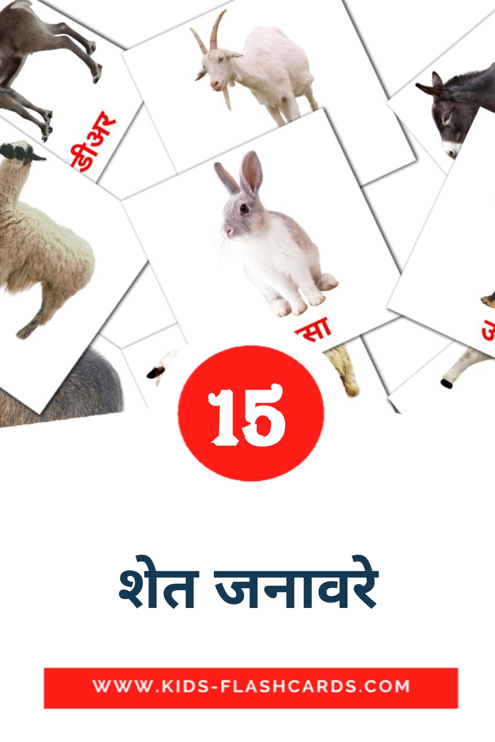 15 शेत जनावरे Picture Cards for Kindergarden in marathi