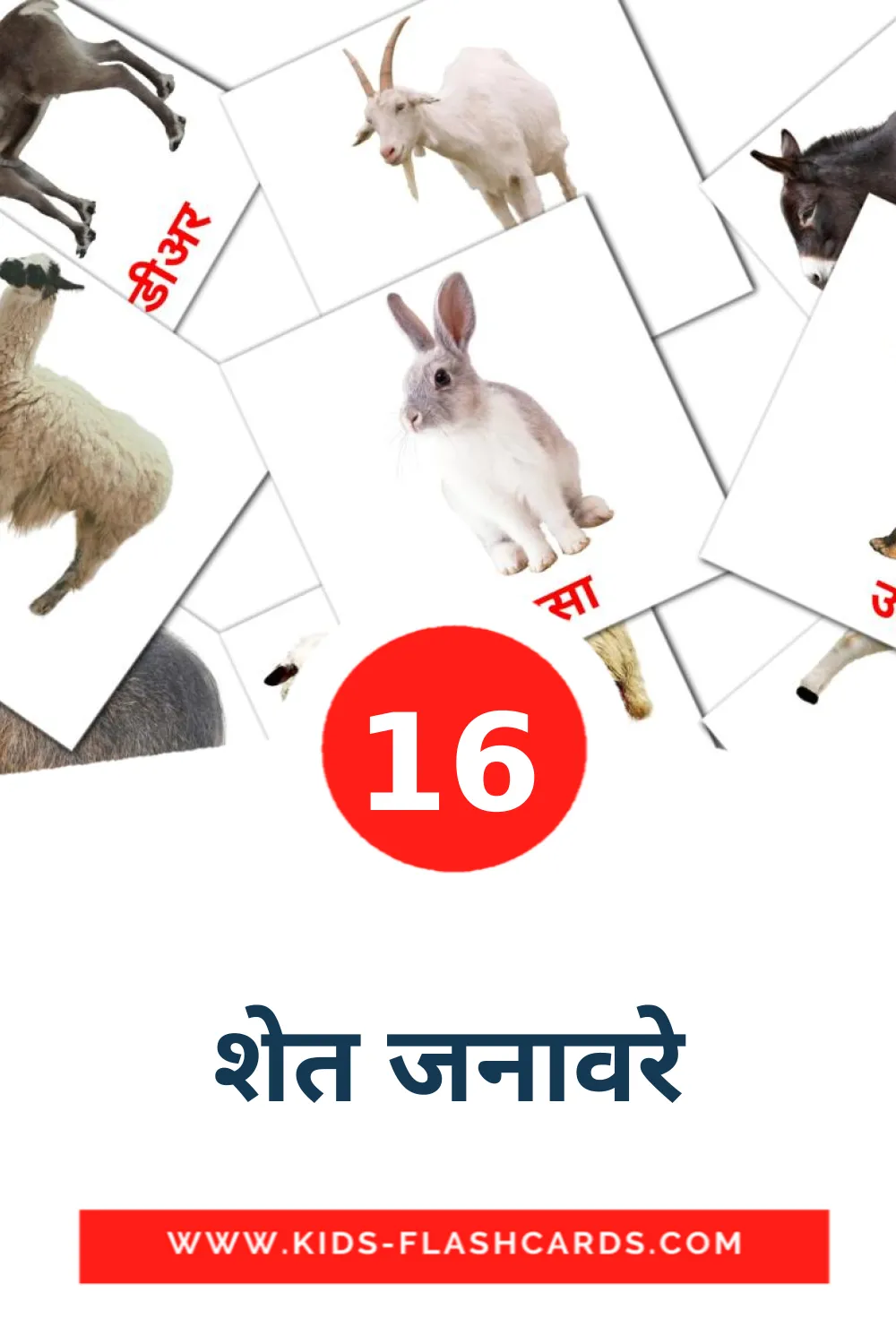 16 शेत जनावरे Picture Cards for Kindergarden in marathi