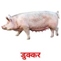 डुक्कर picture flashcards