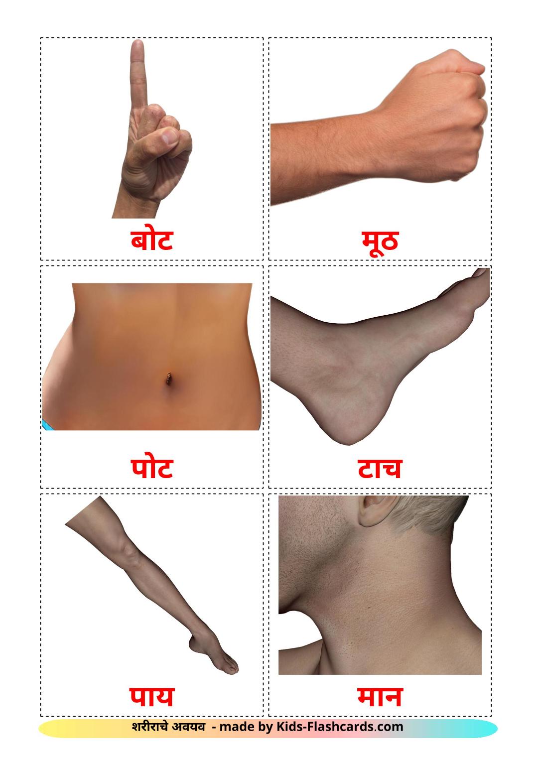 Partes del Cuerpo - 26 fichas de marathi para imprimir gratis 